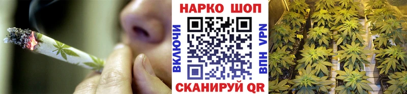 A PVP Петропавловск-Камчатский