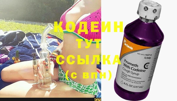 метадон Гусев