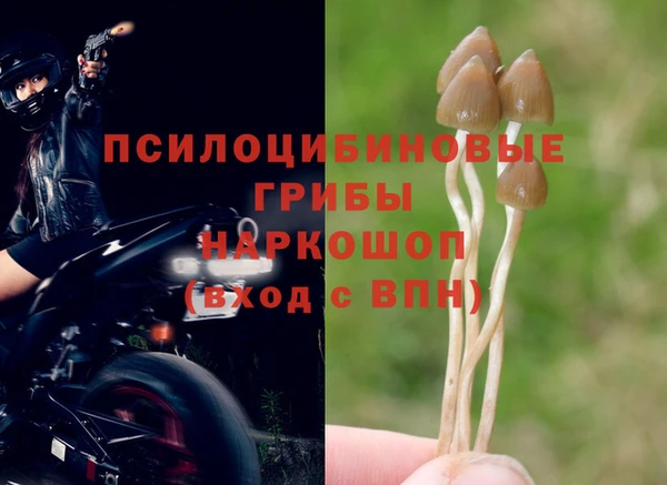 метадон Гусев