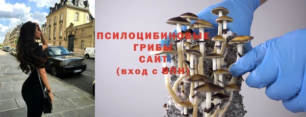 метадон Гусев