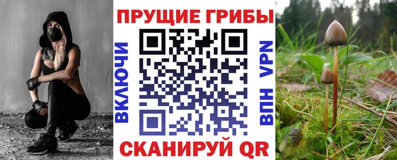 Купить закладки  Петропавловск-Камчатский  Галлюциногенные грибы ЛСД 